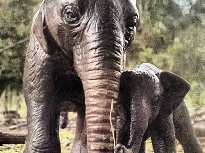 Photography exploration of scale with subject placement and depth of field